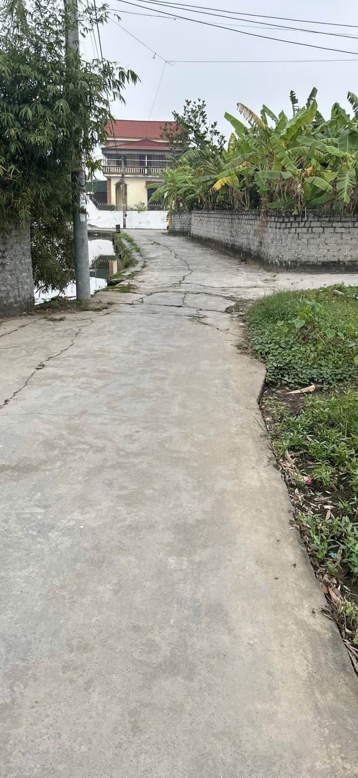 Đất nền trung tâm Xã Văn Tố, Huyện Tứ Kỳ, 100m² - Đầu tư sinh lời ngay!