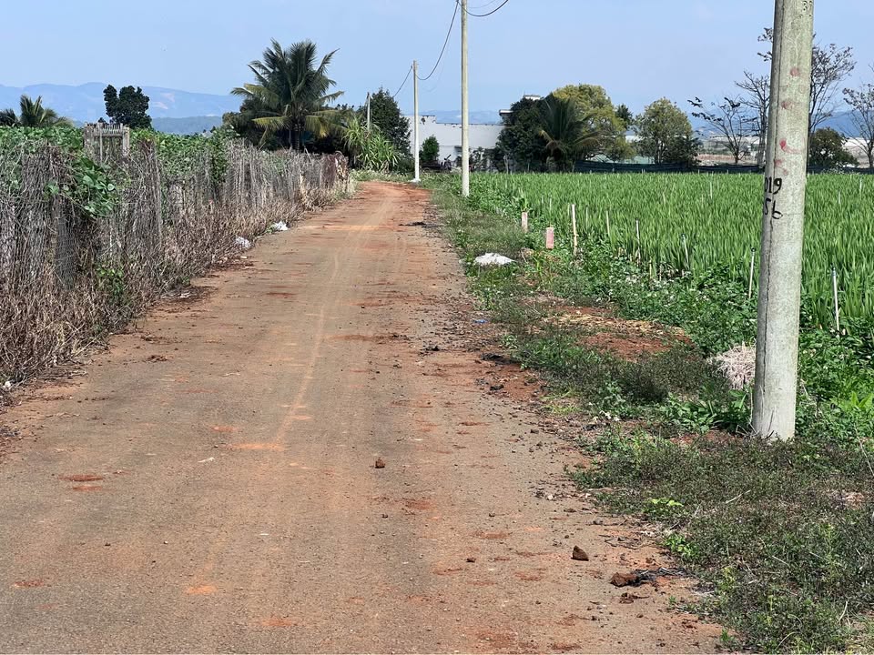 Đất thổ cư 125m² Tổ 34, Huyện Đức Trọng chỉ 810 triệu - Vị trí tiềm năng, xây dựng tự do!