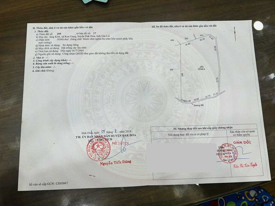 Farm 2ha tại làng K’Lok, xã Kon Gang, giá chỉ 3 tỷ - Cơ hội đầu tư tuyệt vời!