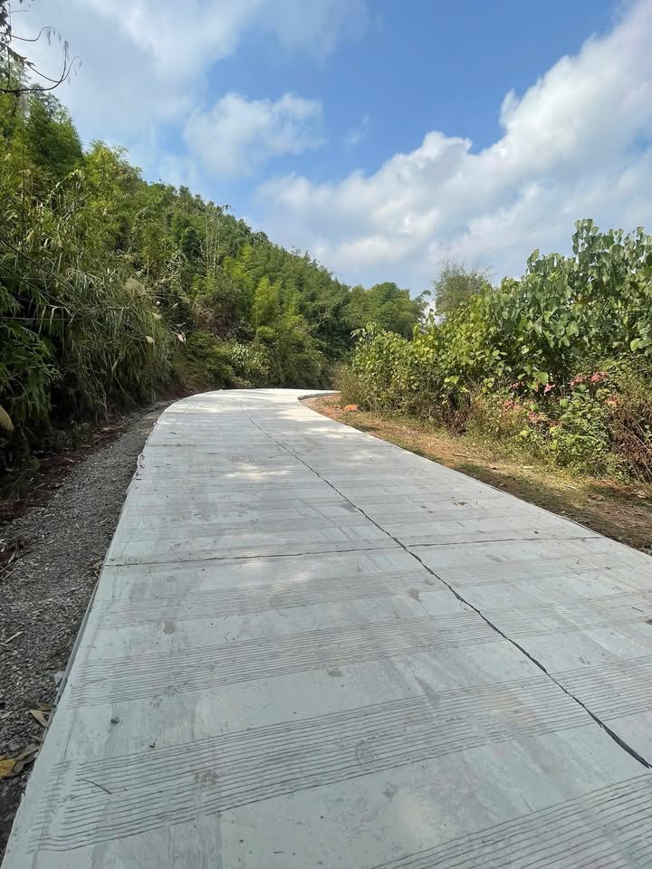 Đất nông nghiệp 3,7ha tại Tân Lạc, Hòa Bình giá chỉ 1 tỷ - Cơ hội đầu tư tuyệt vời!