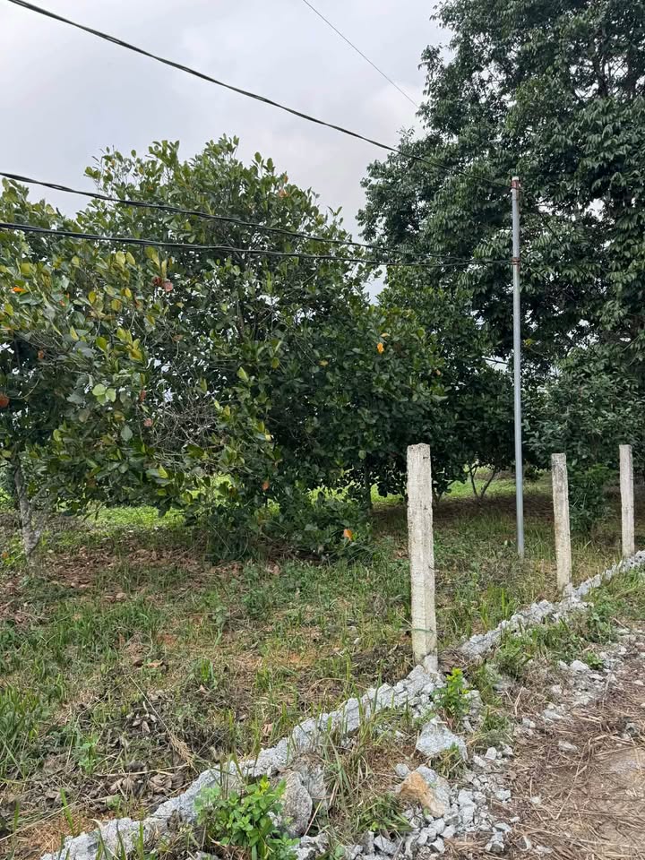 Đất nền Phong Quang 10m² giá 300 triệu - Đầu tư sinh lời ngay!