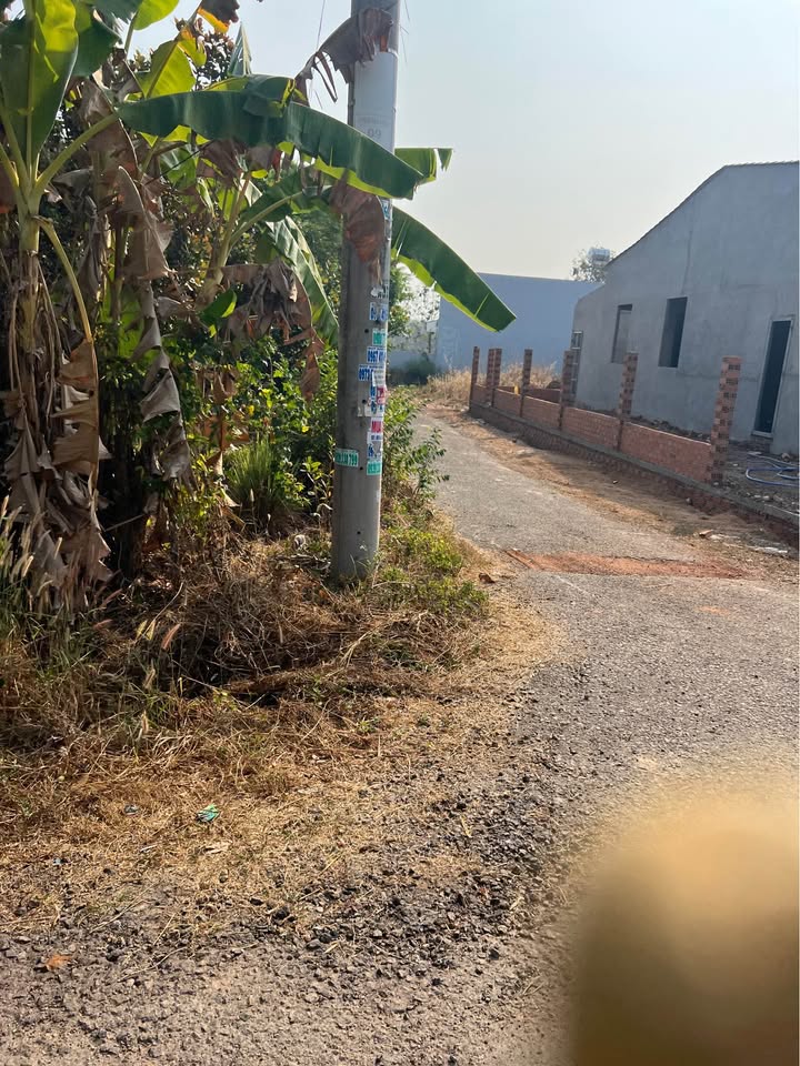 Đất nền thổ cư 235m² tại Đức Liễu, Bù Đăng - Sổ đỏ chính chủ, giá chỉ 170 triệu!