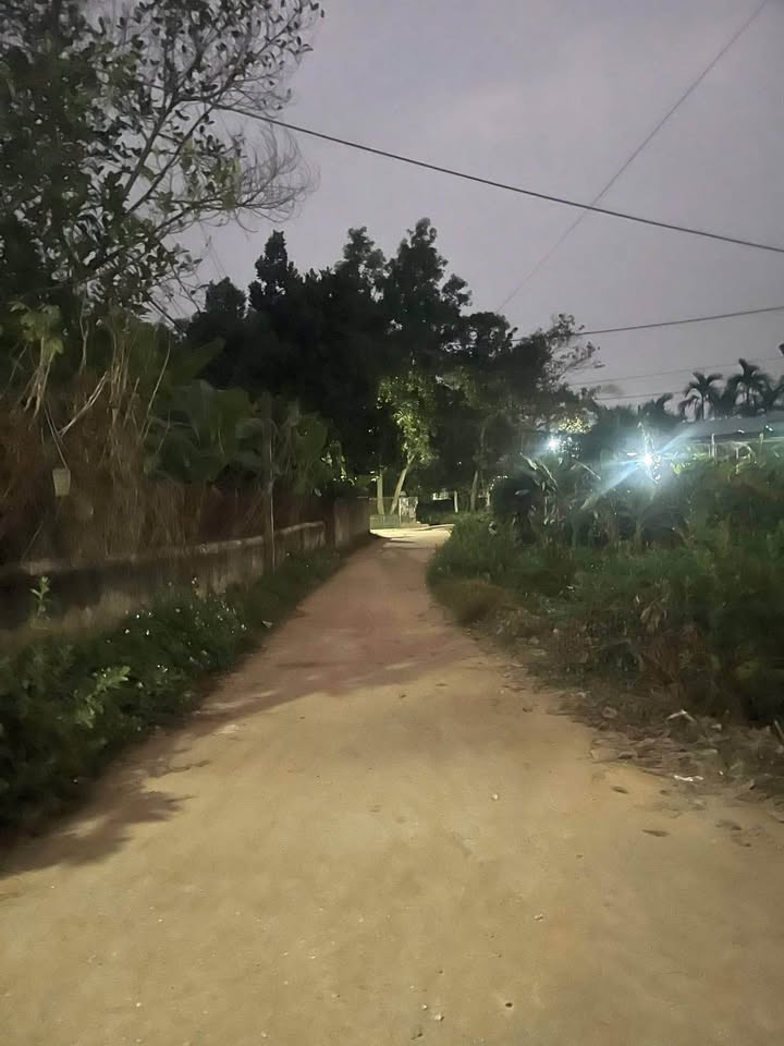 Đất nền góc đẹp tại tổ 7, An Tường, Tuyên Quang - Giá chỉ 2 tỷ!