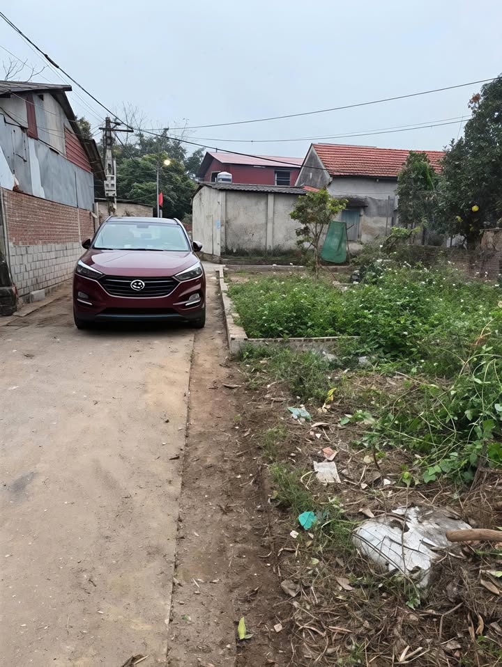 Đất nền Xã Tự Nhiên, Huyện Thường Tín 56m² giá 3,25 tỷ - Đầu tư sinh lời hiệu quả!