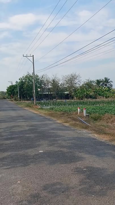 Đất nền Nhựa Suối Dộp, Châu Thành, Tây Ninh 1056m² giá 480 triệu - Đầu tư sinh lời ngay!