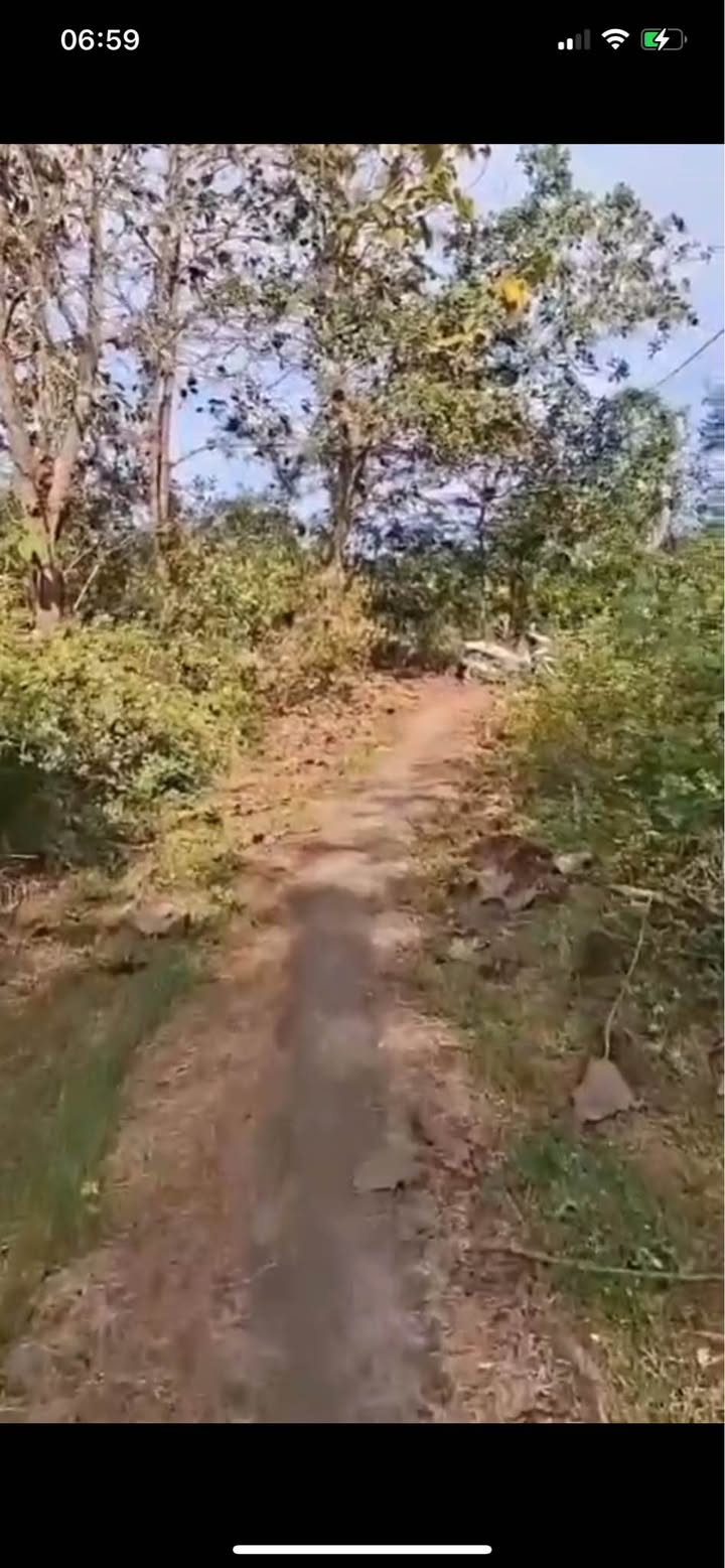 Đất nền Tây Hòa Trảng Bom 1300m² giá 300 triệu - Đầu tư sinh lời cao!