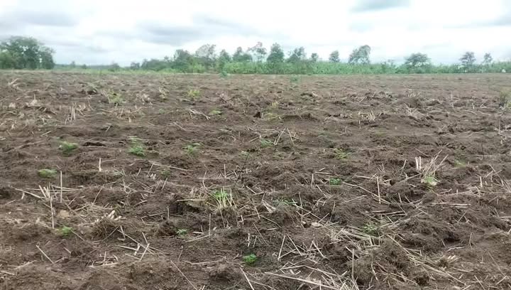 Đất nền 1ha tại xã Lơ Pang, huyện Mang Yang giá chỉ 700 triệu - Đầu tư sinh lời ngay!