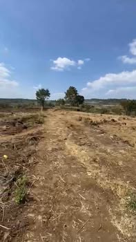 Farm 3ha Đắk Gằn Đắk Mil giá 1.7 tỷ - Đất đỏ đẹp, đầu tư sinh lời!