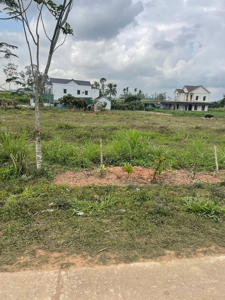 Đất nền Xóm 11, Xã Quỳnh Thắng, 531m² giá 1 tỷ - Cơ hội đầu tư hấp dẫn!