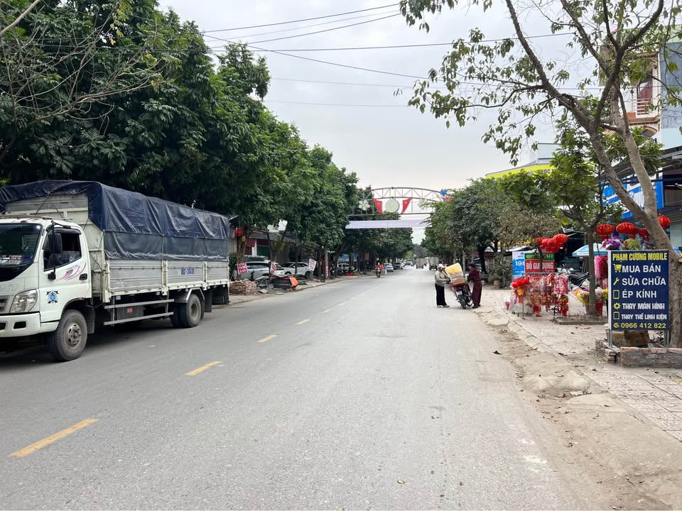 Đất thổ cư 100m² tại Thị trấn Hợp Hòa, Tam Dương - Mặt tiền kinh doanh, giá 6 tỷ