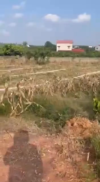 Đất nền Bắc 2, Phường Phượng Sơn 428m² giá 500 triệu - Cơ hội đầu tư hấp dẫn!