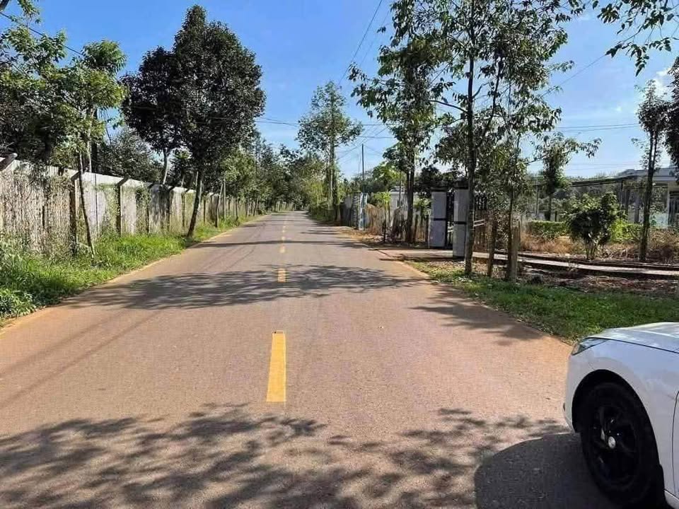 Bán nhà mặt tiền Quốc Lộ 56b, Huyện Châu Đức, 200m² giá 1.39 tỷ - Cơ hội đầu tư vàng!