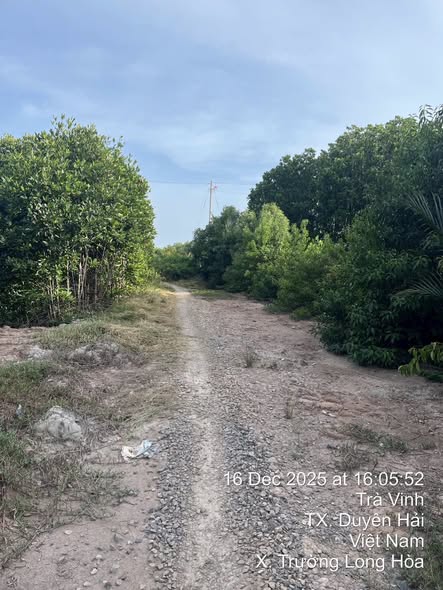 Đất Farm 57.000m² tại Duyên Hải, Trà Vinh - Mặt tiền sông rộng rãi!