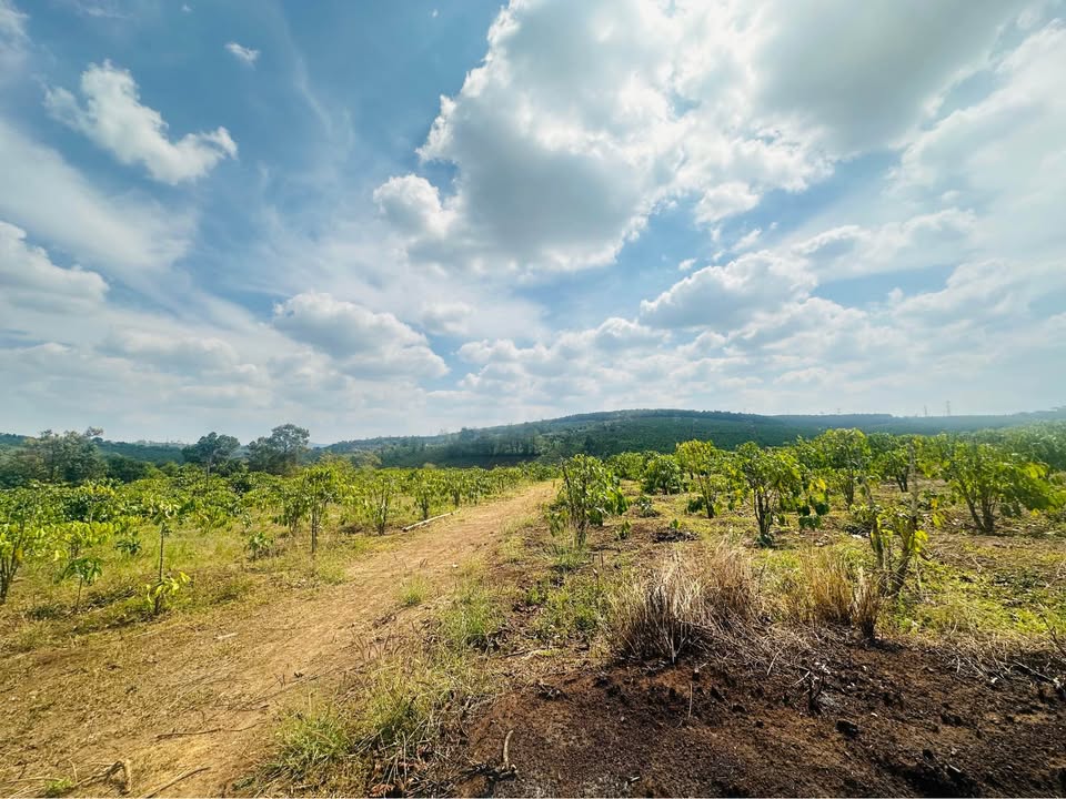 Đất nông nghiệp 1800m² tại phường Thắng Lợi, TP Kon Tum - Giá chỉ 900 triệu!