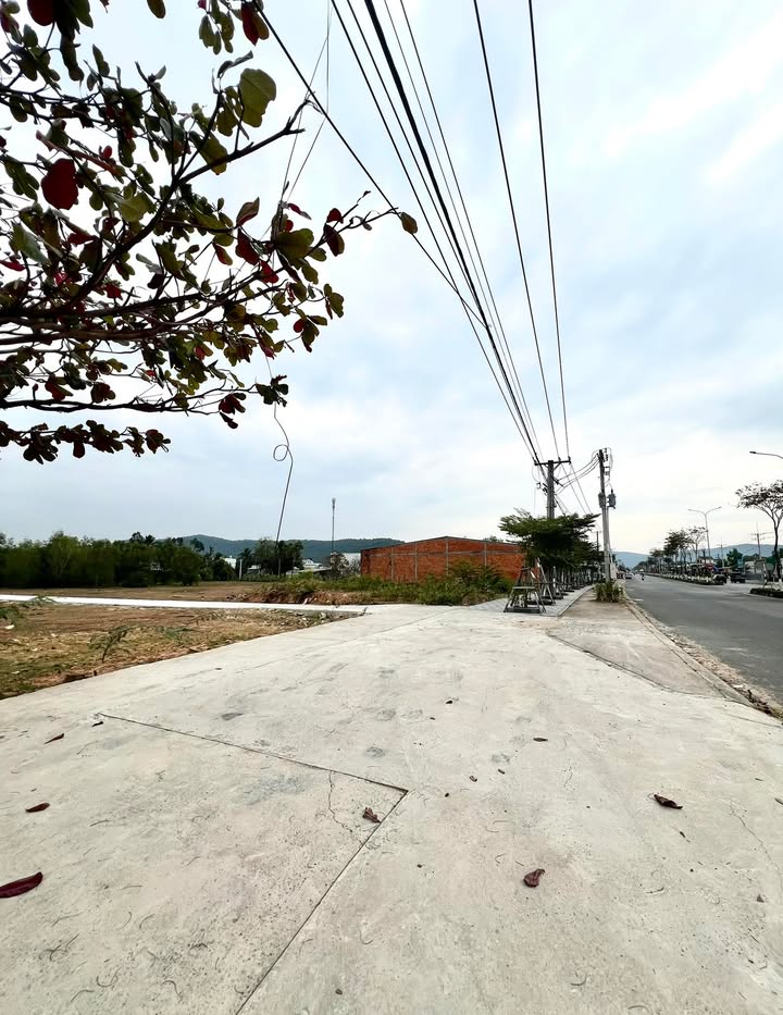 Đất nền 500m² khu phố Bến Tràm - Giá chỉ 3 tỷ, vị trí đắc địa!