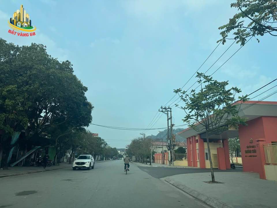 Lô đất đẹp Ngõ 385 Nguyễn Công Trứ Ninh Bình 123,6m² - Kinh doanh thuận lợi!