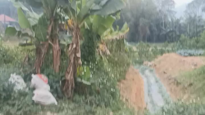 Đất thổ cư tại thôn Đức Thành, Nho Quan 144m² chỉ 800 triệu - Cơ hội đầu tư hấp dẫn!