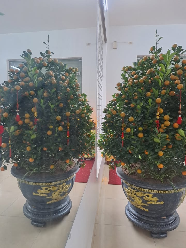 Lô đất 2 mặt tiền tại Ninh Khánh 48m² giá 3 tỷ - Đầu tư sinh lời hấp dẫn!