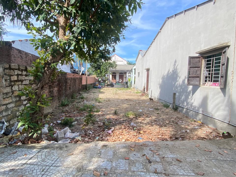 Đất mặt tiền đường Thế Lữ, Hội An 115m² giá 3.5 tỷ - Nhanh tay sở hữu!