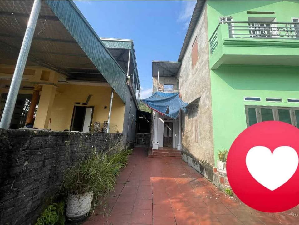 Đất Farm 2764m² tại km26 Việt Lâm - Giá 1 tỷ, Chính chủ bán gấp!