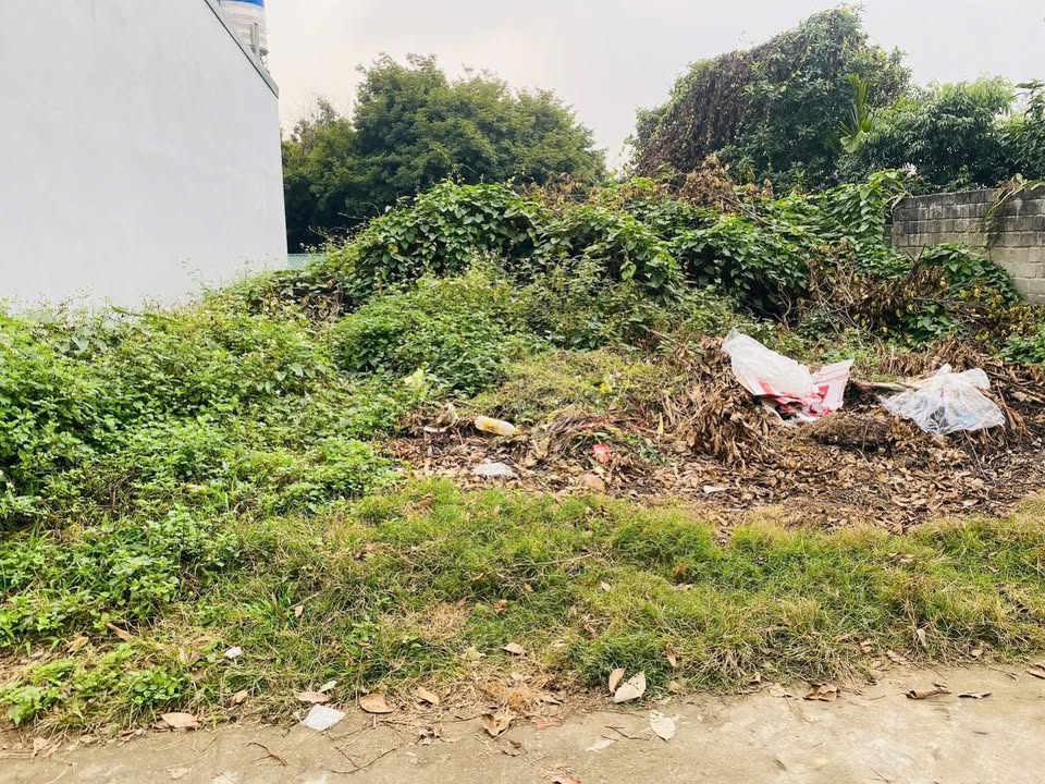 Đất nền phường Minh Xuân, Tuyên Quang 187m² giá 2 tỷ - Vị trí trung tâm, thuận tiện