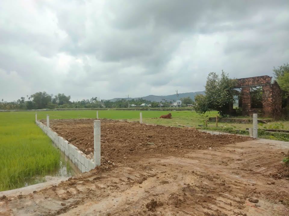 Đất nền Hòa Khương 150m² giá 1 tỷ - Đầu tư sinh lời ngay!