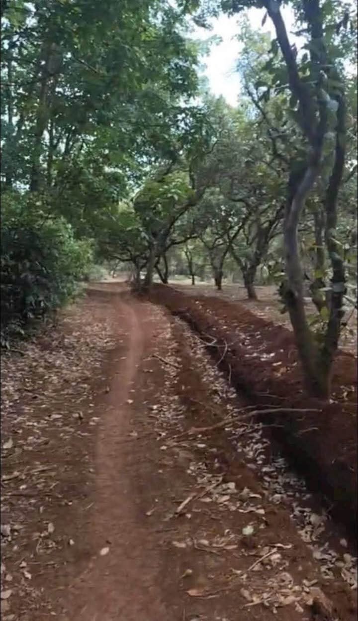 Đất nông nghiệp 3,3ha tại Tân Lợi, Đồng Phú - Giá chỉ 3,96 tỷ!