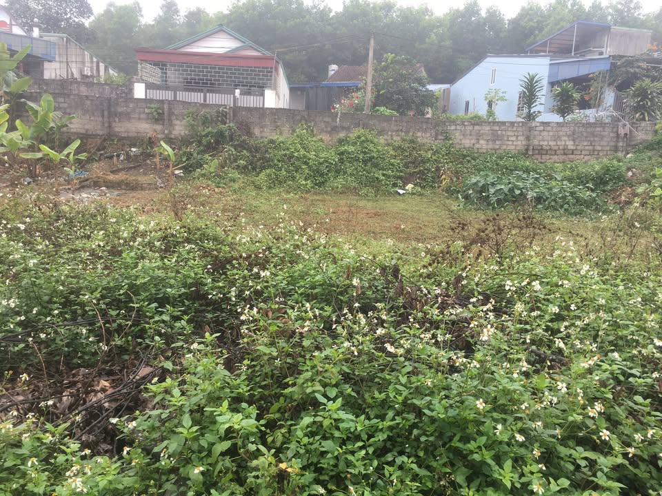 Lô đất Phú Xá - Đường Việt Bắc 210m² chỉ 1 tỷ - Cơ hội đầu tư hấp dẫn!