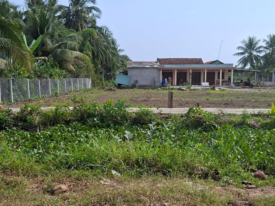 Đất thổ cư 320m² tại Ấp Thạnh An, Giá 440 triệu - Cơ hội vàng cho đầu tư!