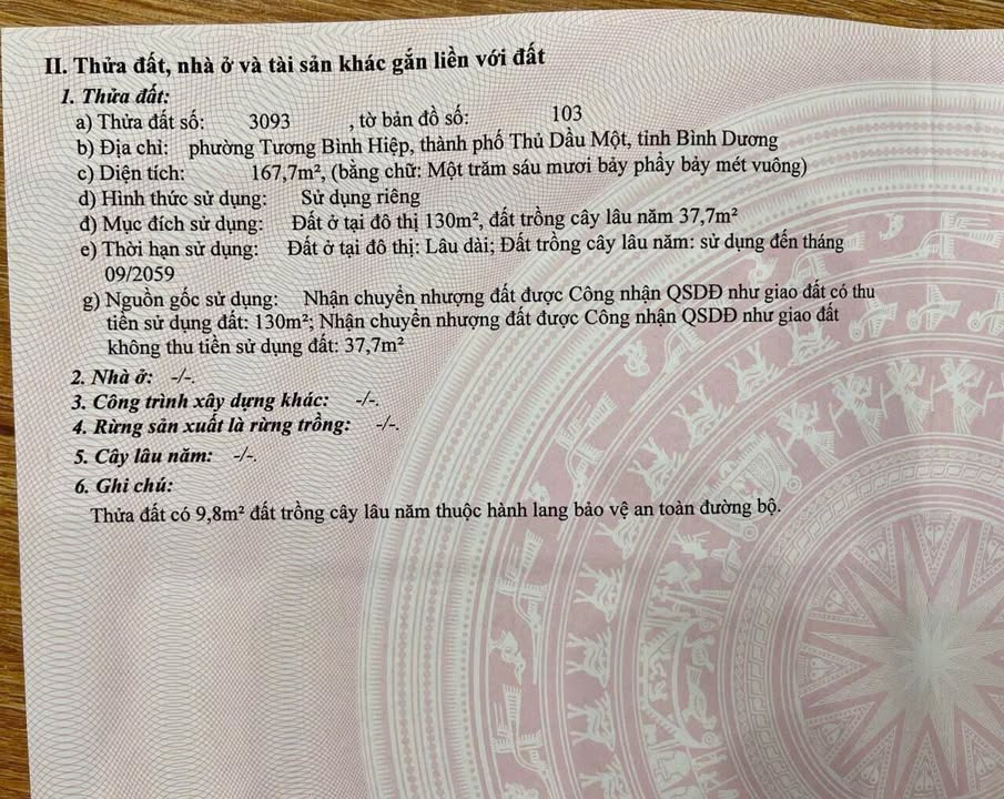 Đất nền mặt tiền Bùi Ngọc Thu, phường Chánh Mỹ, 167m² giá 5.3 tỷ - Cơ hội đầu tư hấp dẫn!