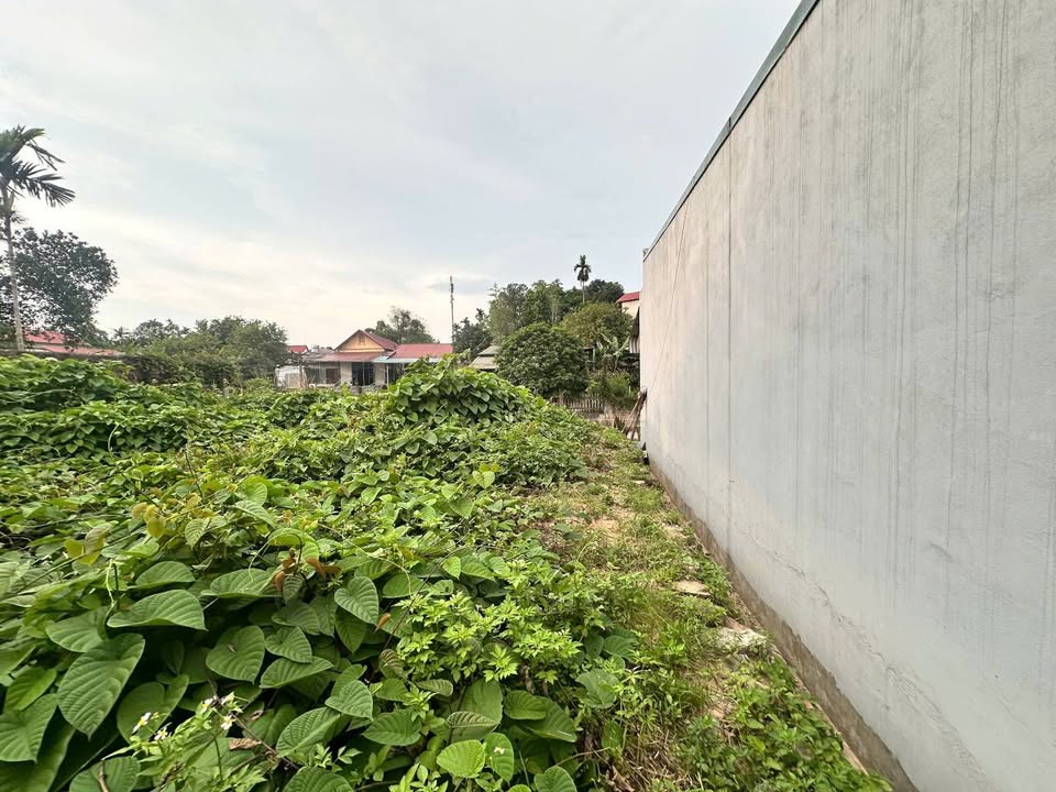 Nhà riêng đường Phùng Khắc Khoan, 87m² giá 8xx triệu - Ô tô đỗ cửa thoải mái!