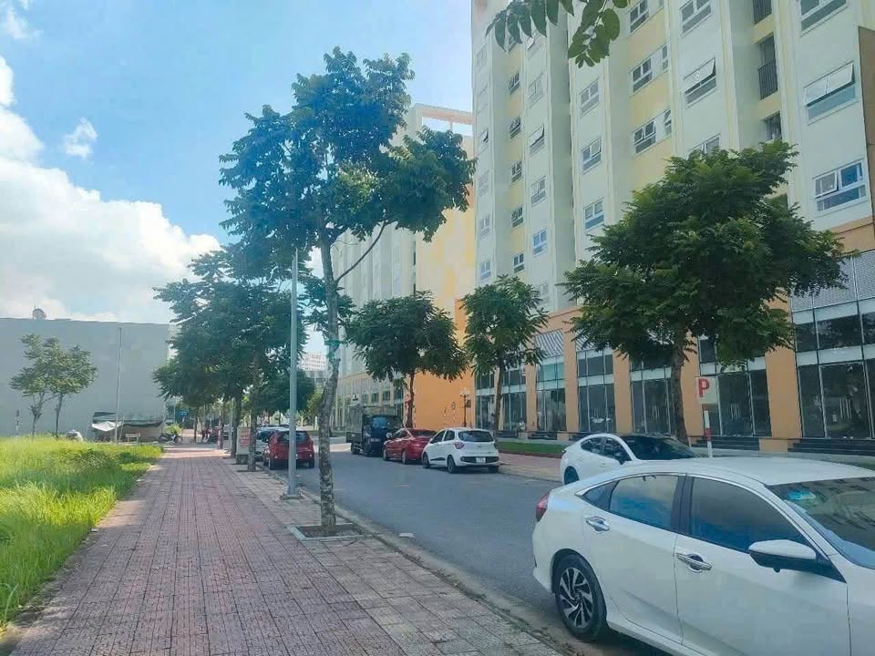 Đất nền KĐT Vũ Phúc, TP. Thái Bình 72m² giá chỉ 3 tỷ - Đầu tư sinh lời ngay!