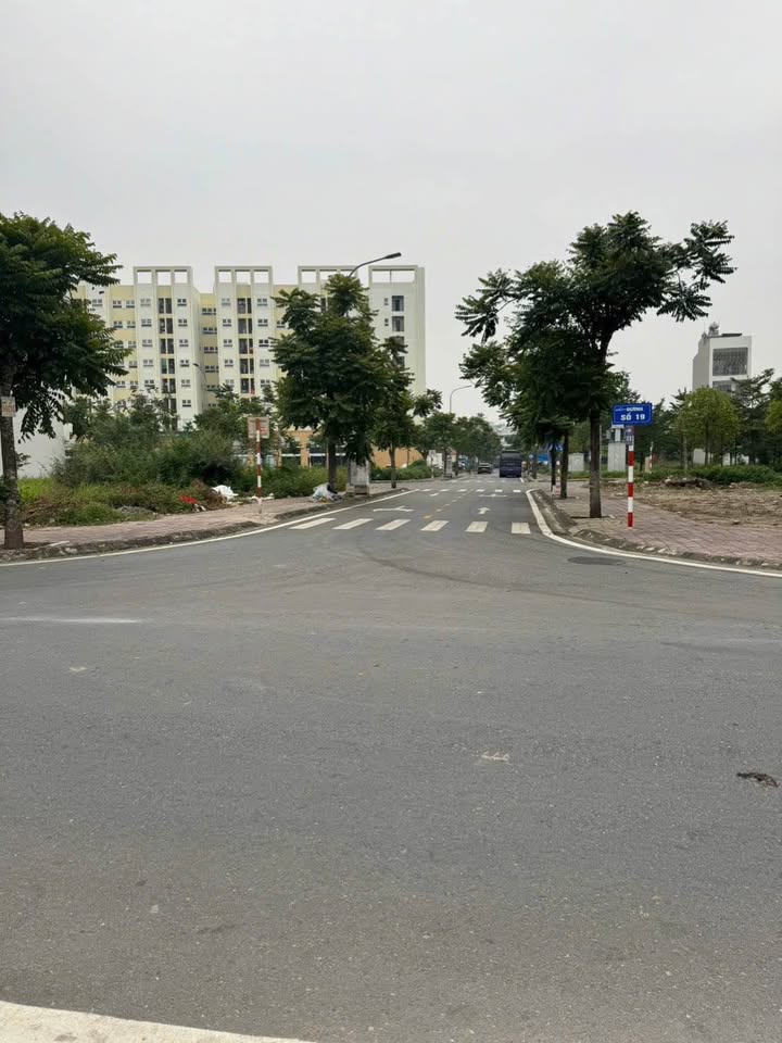 Lô góc FrontHouse khu C đô thị Vũ Phúc, Thái Bình 86m² - Kinh doanh sầm uất!