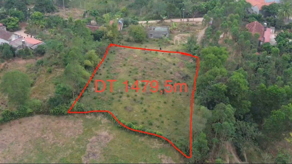 Đất nền đẹp 1479m² tại Đồng Kỳ - Giá chỉ 800 triệu - Tiềm năng đầu tư lớn!