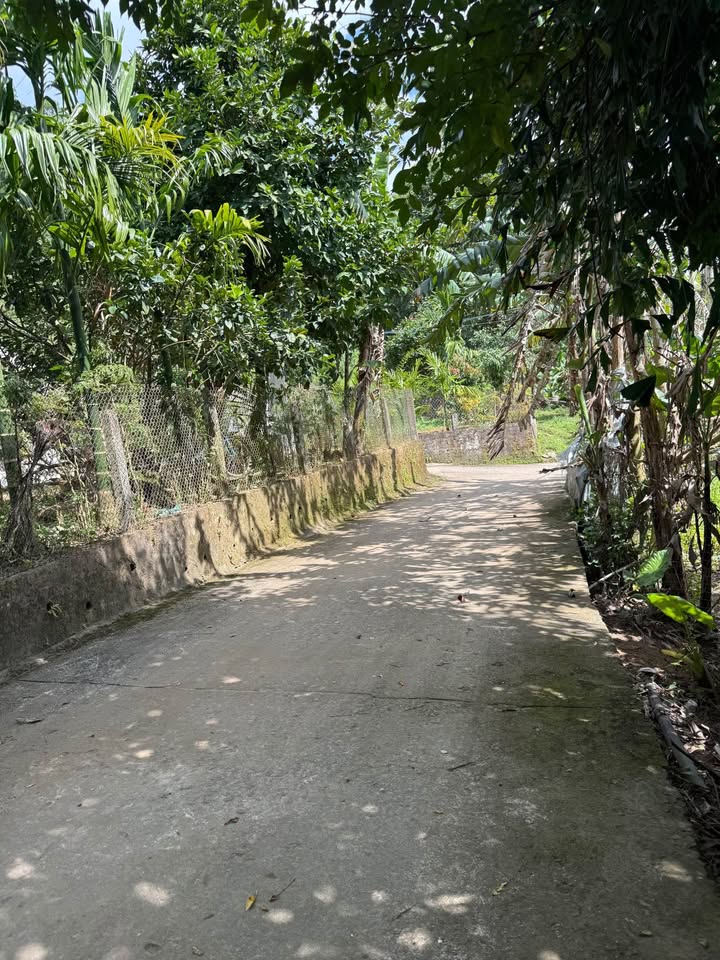 Đất Hòa Bắc Đà Nẵng 195m² giá chỉ 1,35 tỷ - Sổ hồng chính chủ