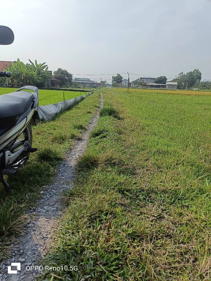 Lô đất Đức Hòa Thượng, Long An 960m² giá 1.5 tỷ - Sổ hồng chính chủ!