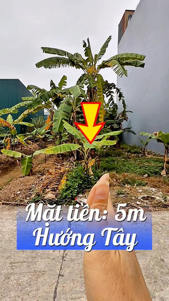 Đất dịch vụ Lại Yên, Hoài Đức 75m² giá 9 tỷ - Đường ô tô tránh, vỉa hè rộng rãi!