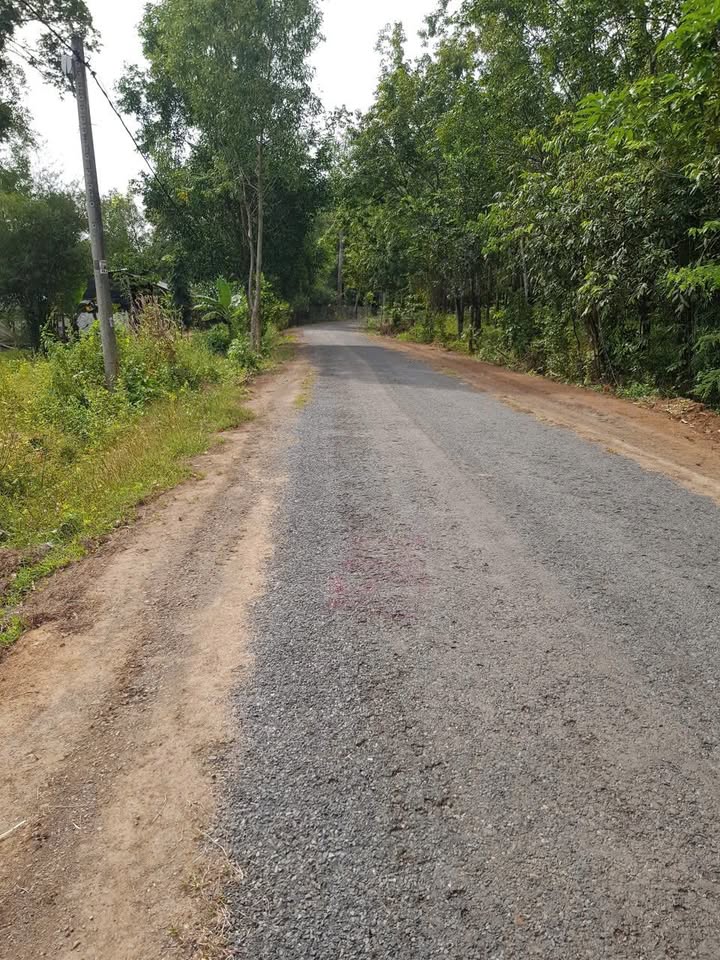 Đất nền Nhựa Lộc Thịnh, Thị trấn Lộc Ninh, 1575m² - Cơ hội đầu tư hấp dẫn!