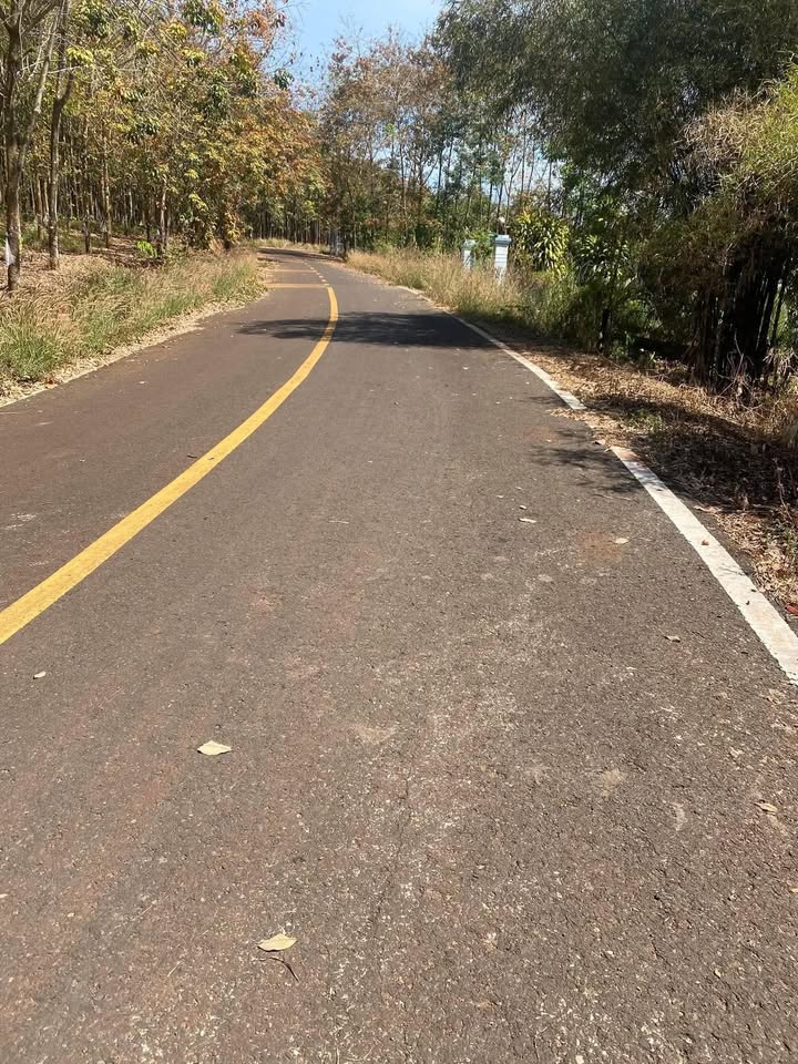 Đất thổ cư Khu phố Ninh Thành 276m² giá 300 triệu - Sổ đỏ chính chủ sẵn sàng giao dịch!