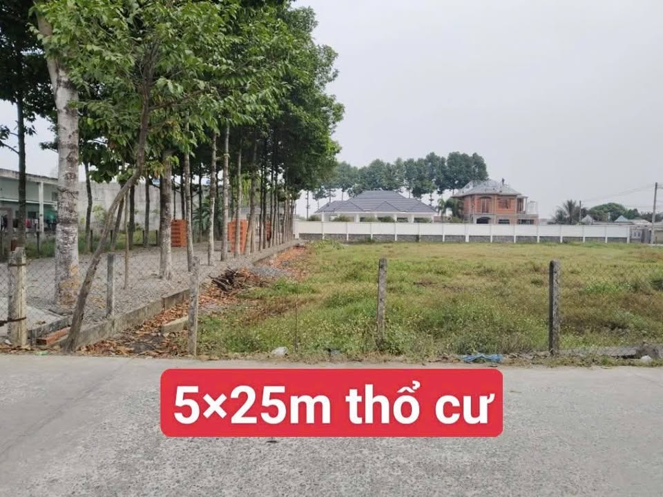 Đất thổ cư 125m² tại Mỹ Hạnh Nam, Đức Hòa chỉ 1.65 tỷ - Kinh doanh sinh lời!