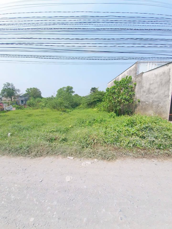 Đất nền Đức Hòa Long An 559m² giá 4.9 tỷ - Gần khu công nghiệp Tân Đức