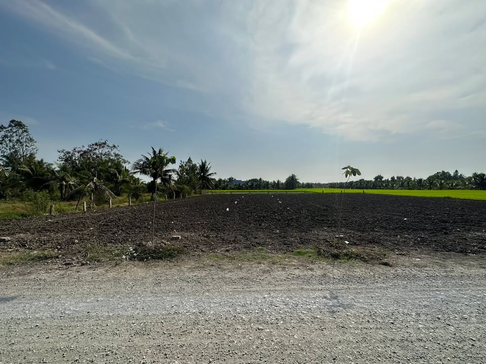 Đất thổ cư 230m² tại Vĩnh Bình, Long An giá 680 triệu - Cơ hội đầu tư tốt!