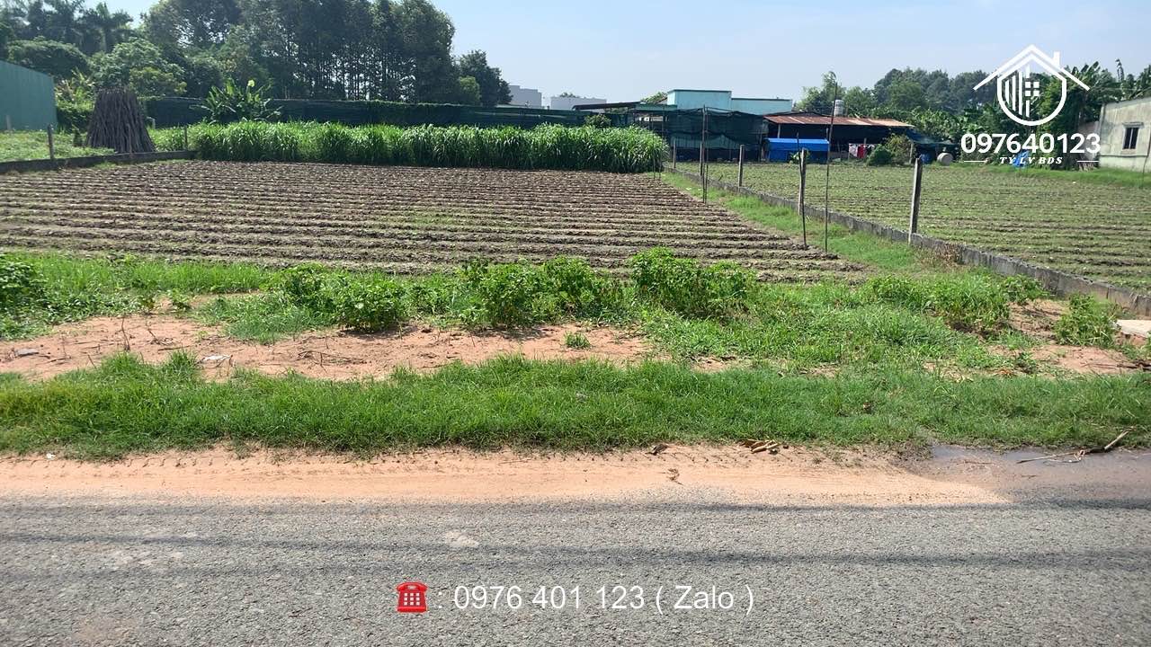 Đất nền đường nhựa Tân Thông Hội 156m² - Sổ hồng chính chủ, cơ hội đầu tư tuyệt vời!