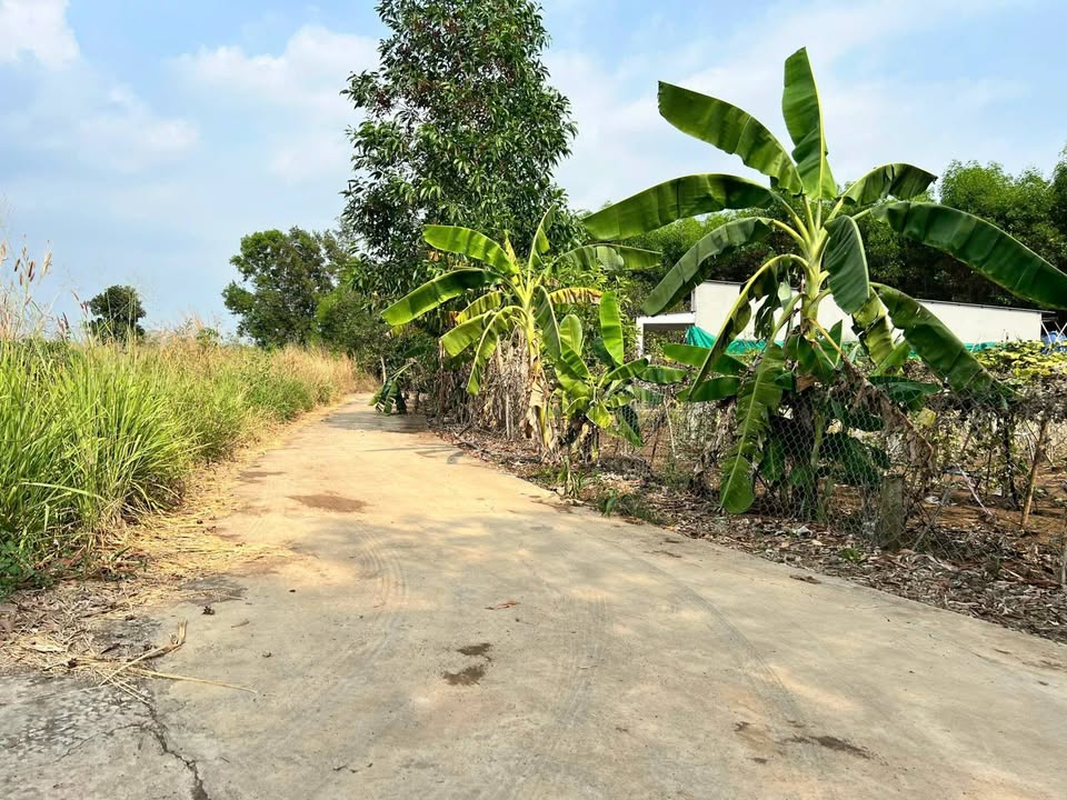 Đất thổ cư Ấp 4 Xuân Sơn 1732m² giá 1 tỷ - Đầu tư sinh lời tuyệt vời!