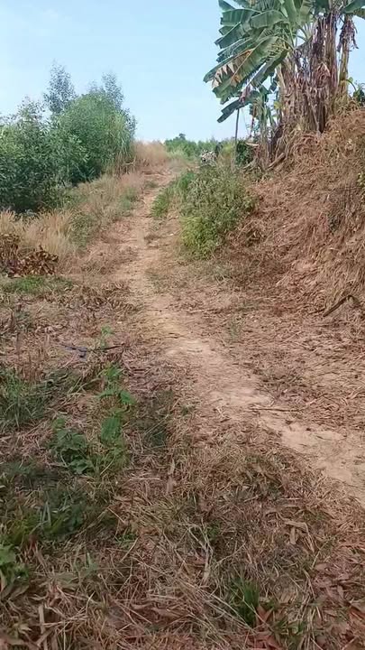 Đất Farm Xã Hòa Bình, Xuyên Mộc 13.000m² giá 9.45 tỷ - Cơ hội đầu tư hiếm có!