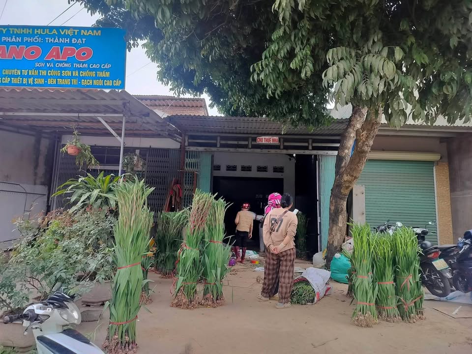 FrontHouse Thị trấn Kép 123m² giá 2 tỷ - Đầu tư sinh lời ngay!