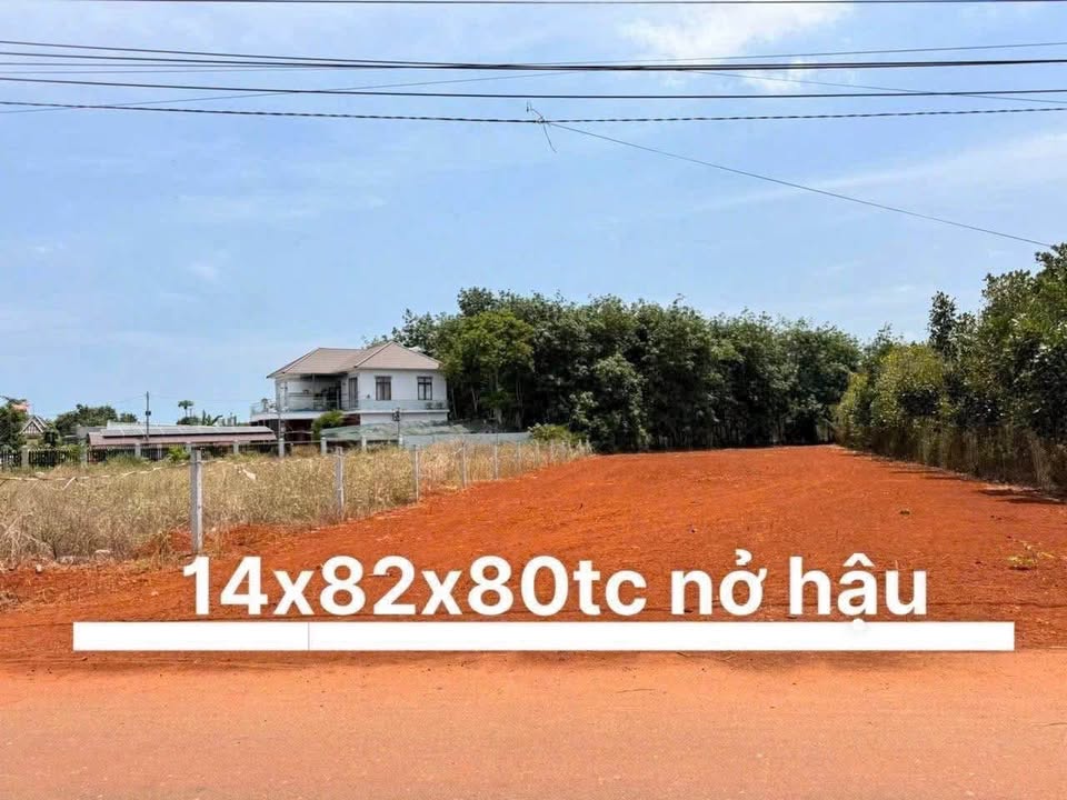 Đất nền TPHCM 1277m² giá 40 tỷ - Phù hợp xây nhà vườn lý tưởng!