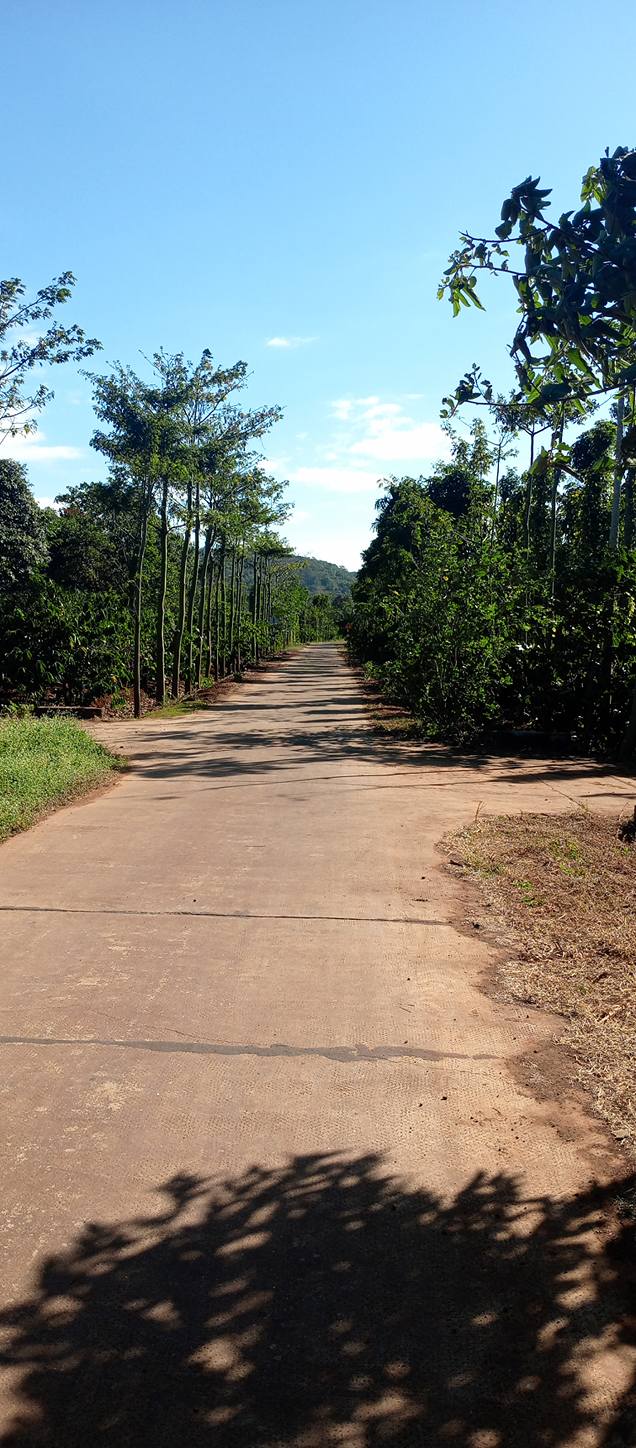 Đất nông nghiệp mặt tiền đường nhựa Ea Kao 500m² giá 410 triệu - Cơ hội đầu tư tuyệt vời!