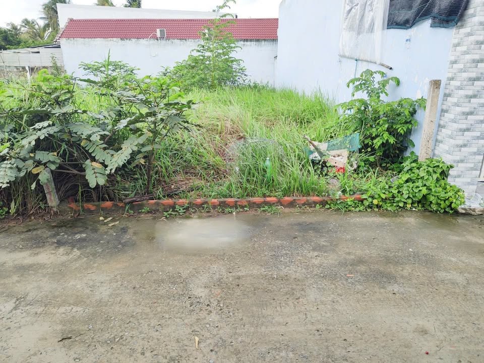 Đất Phú Hưng Bến Tre 107,8m² giá 700 triệu - Cơ hội đầu tư hấp dẫn!