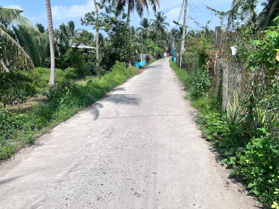 Đất nền Tân Thành Bình 1023m² giá 1.2 tỷ - Vị trí đắc địa gần chợ và trường học!